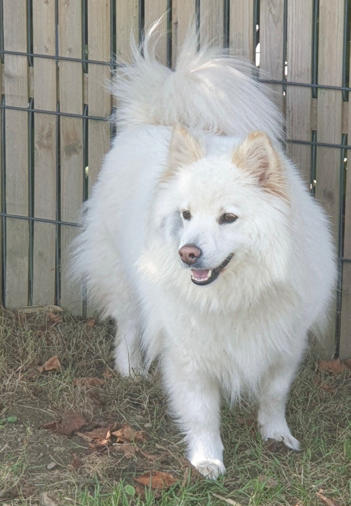 Nanouk (Sans Affixe)